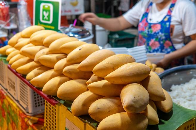끝이 뾰족한 남독 마이(Nam Dok Mai) 망고 [게티이미지뱅크]