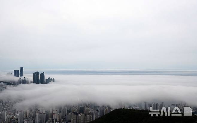 [부산=뉴시스] 하경민 기자 = 초여름 더위가 이어진 21일 부산 황령산의 한 전망대에서 내려다 본 도심이 짙은 해무로 뒤덮여 장관을 연출하고 있다. 2025.05.21. yulnetphoto@newsis.com