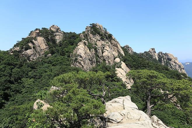 기암괴석이 펼쳐진 서울 도봉산 자운봉 일대 전경.&nbsp;&nbsp;봄철 맑은 날씨에 암릉 능선을 따라 산행을 즐기기 좋은 명소로 꼽힌다. 게티이미지뱅크