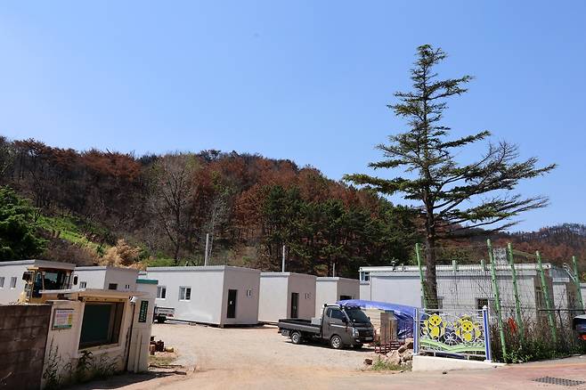 영덕군 축산면 경정1리 이재민 임시조립주택 공사 [촬영 손대성]