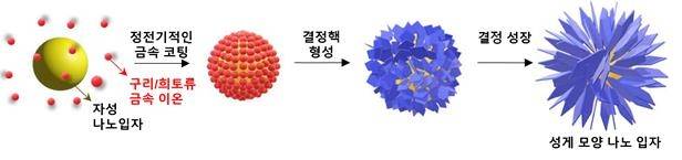 KIST, 수처리 활용 성게 모양 나노 입자 개발 [KIST 제공. 재판매 및 DB 금지]