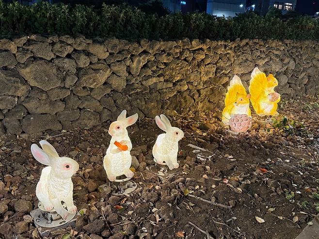 사진 설명을 작성해주세요