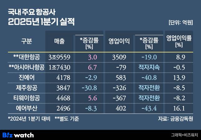 국내 주요 항공사 2025년 1분기 실적./그래픽=비즈워치