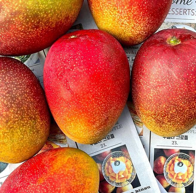 인스타그램 @avecque_cheongdam