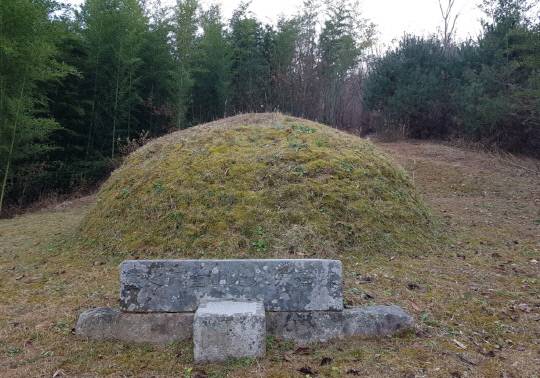충남 부여군 장암면 석동리에 위치한 광산김씨 묘소. 문희순 문학박사·충청문화연구소 연구교수 제공