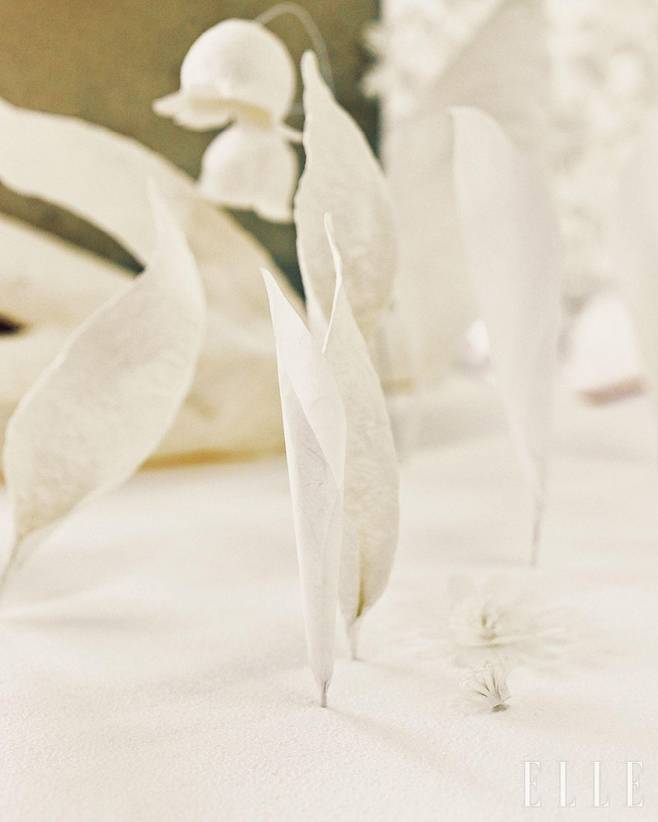 한국 전통 종이 한지로 식물의 다양한 형태를 작업한 아티스트 김현주의 작품. © SUNG MIN KIM