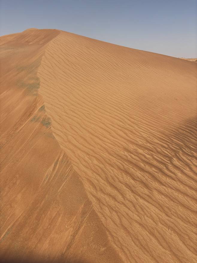 IMG_4264.jpeg 두바이 23시간으로 알차게 즐겼습니다