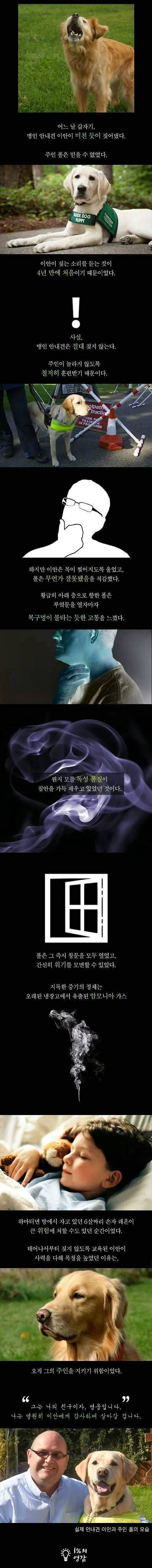 image.png 처음으로 짖은 맹인 안내견.jpg