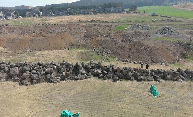 제주자치경찰단 제공