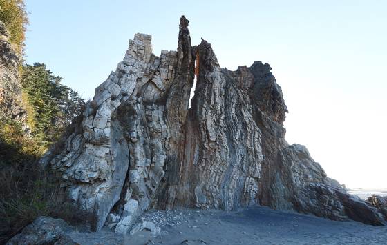 독특한 절경을 자랑하는 인천시 옹진군 대청도 나이테바위(고목바위). 사진 인천시