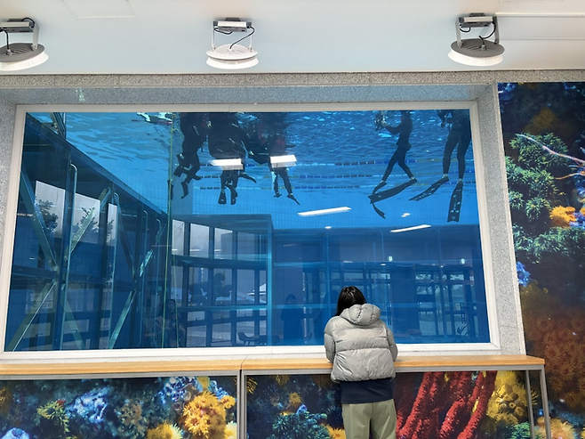 수중카페/사진=김지은 여행+ 기자