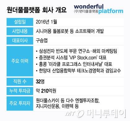 원더풀플랫폼 회사 개요/그래픽=윤선정