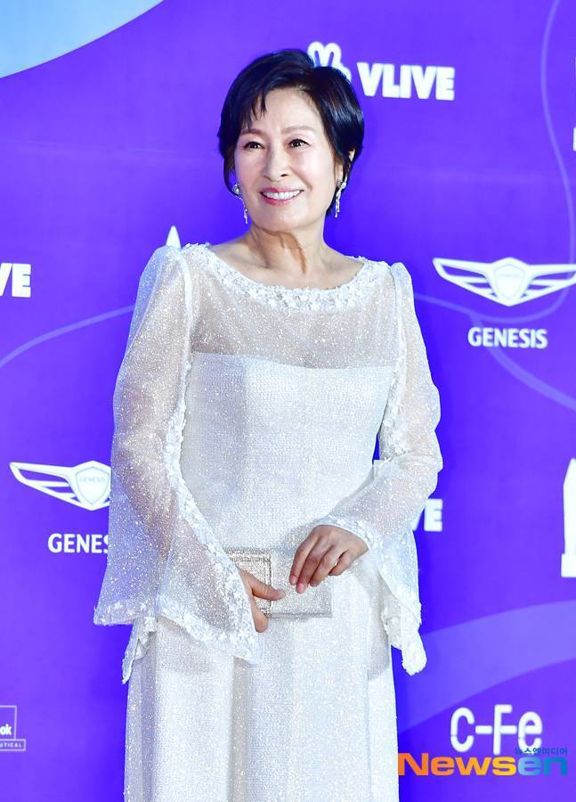 김혜자/뉴스엔DB