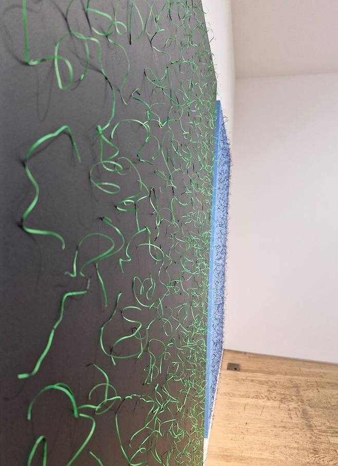 이형우 편백나무 개인전  *재판매 및 DB 금지