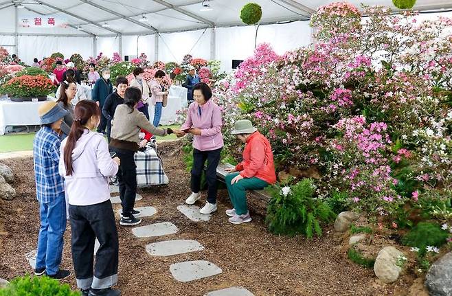 철쭉 야생화 테마관 *재판매 및 DB 금지