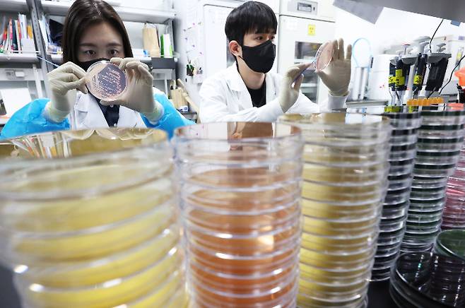 기온이 오르며 식중독 위험이 증가하고 있는 지난 19일 경기도 수원시 권선구 경기도보건환경연구원에서 연구원들이 식중독균 배양분리작업을 시연하고 있다. 연합뉴스