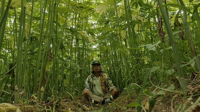 배급 : 미디어나무㈜, 제작·공동배급 : 생의 한가운데