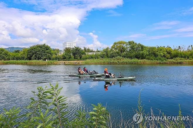 동해시 전천에서 무더위 날려요 [연합뉴스 자료사진]