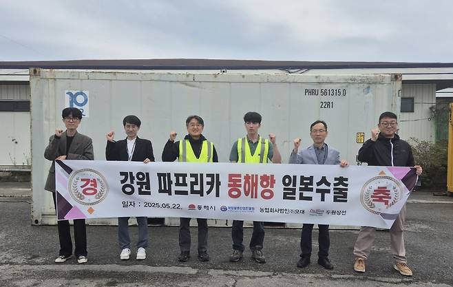 강원 파프리카 동해항 통해 일본 수출 [동해시 제공. 재판매 및 DB 금지]