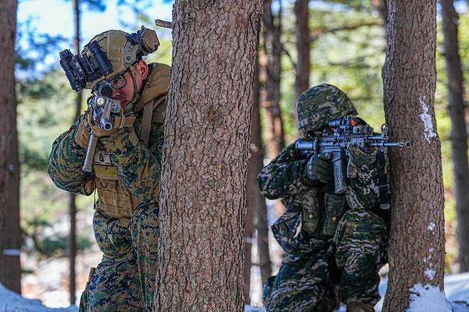 한미 해병대가 3일부터 21일까지 포항,포천,파주 일대 훈련장에서 ‘25-1차 KMEP 연합보병, 제병협동훈련을 실시했다고 21일 밝혔다. 사진은 한미 해병대 장병들이 공격작전 간 경계하는 모습. (해병대사령부 제공) 2025.3.21.뉴스1