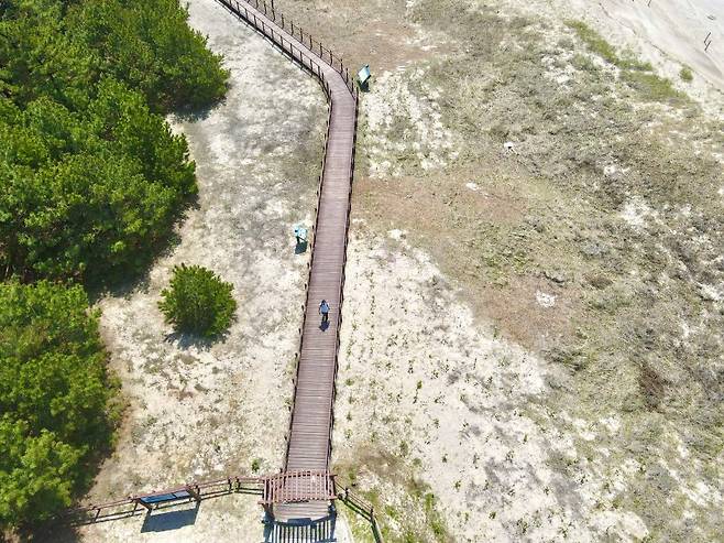 태안 기지포 해안을 맨발로 걷고 있는 여행객. 한국관광공사 제공