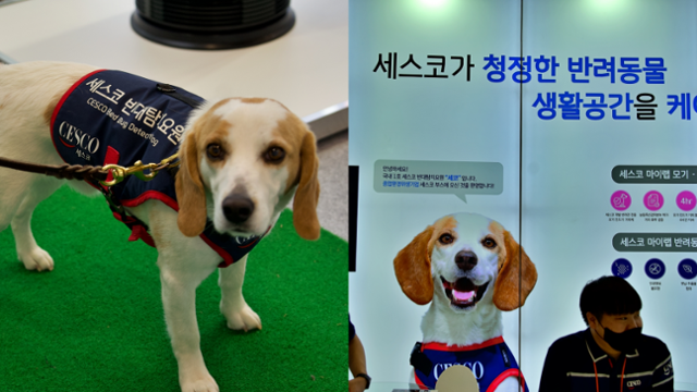 반려동물 박람회 2025 메가주 일산에 참여한 해충 방제업체 세스코의 부스. 이곳에서는 국내 1호 빈대 탐지견 '세코'도 모습을 드러냈다.