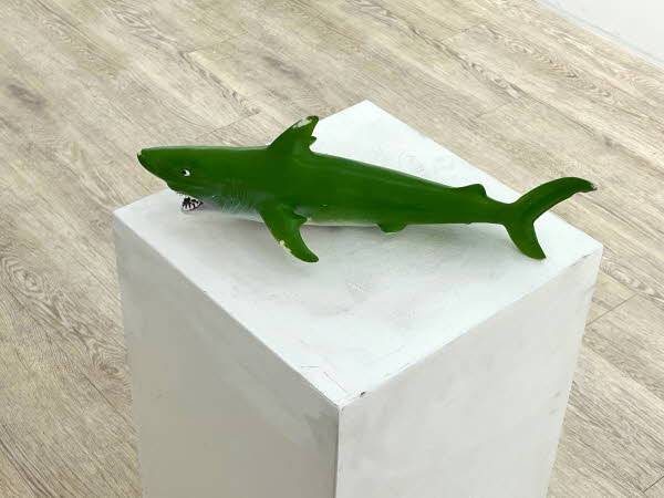 마누가 생전 가지고 놀던 장난감/사진=최소라 인턴기자