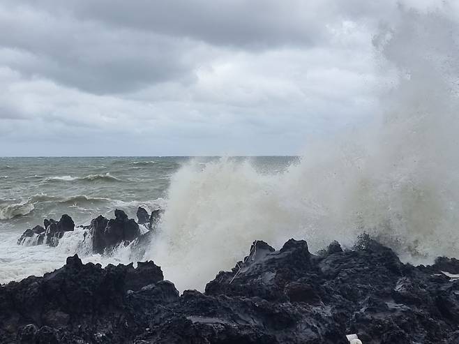 출처  JIBS 자료사진_태풍