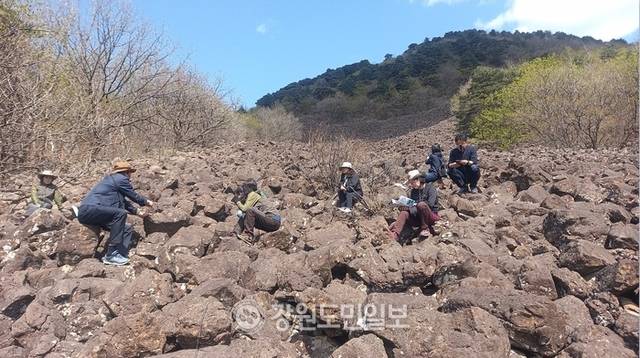 ▲ 지질학적으로 빙하기의 흔적이 누운 주상절리로 가득한 운봉산 중턱의 너덜지대는 중요한 지질학적 가치를 지니고 있어 체험단과 탐방객들의 발길이 이어지고 있다.