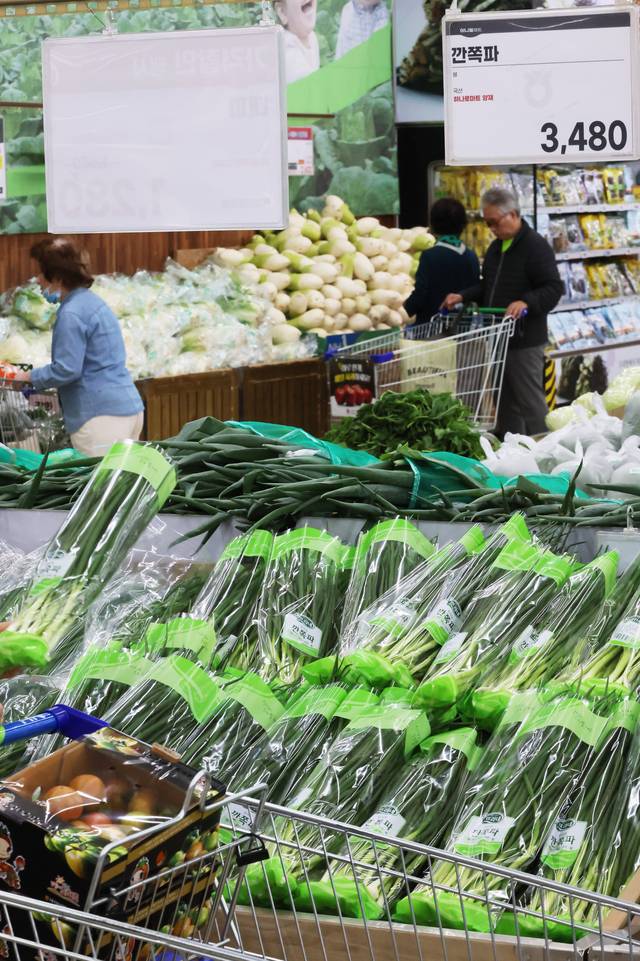 지난 6일 서울 서초구 하나로마트 양재점에 배추와 대파 등 농산물이 진열돼 있다. 연합뉴스