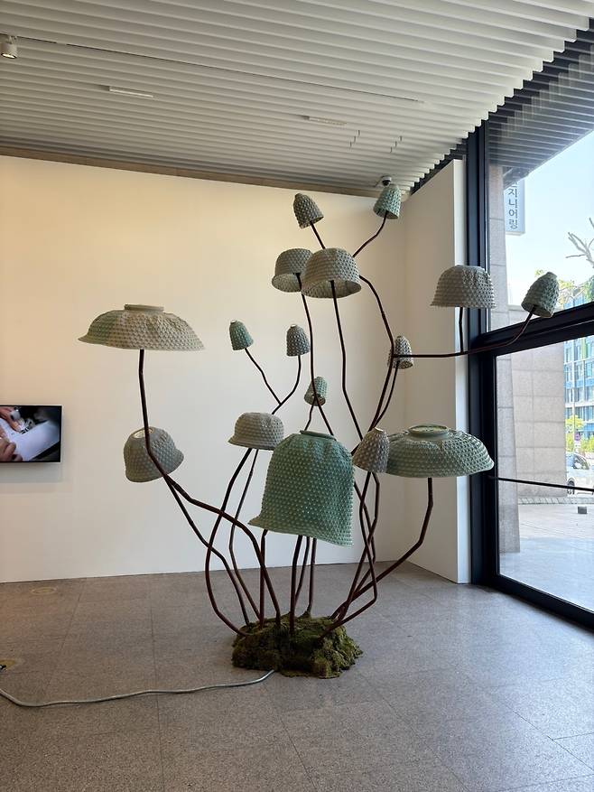 코오롱FnC 래코드가 서울 서초구 스페이스 이수에서 진행 중인 ‘리콜렉티브: 머터리얼스(RE;COLLECTIVE: MATTERIALS)’ 전시장에서 볼 수 있는 설치 작품 ‘소일 투 소울(SOIL TO SOUL)’ 모습. 강승연 기자