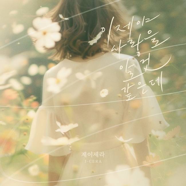요구르트 스튜디오 제공
