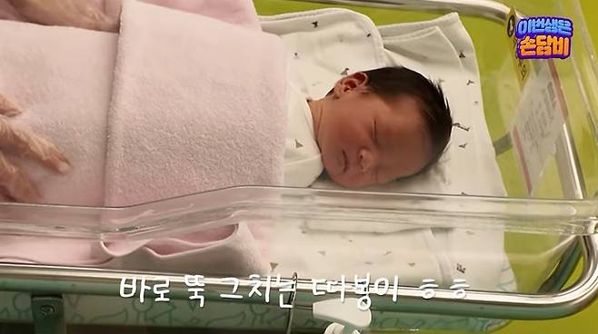 ‘담비손’ 채널 캡처
