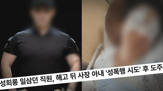 SBS 제공