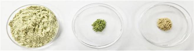 왼쪽부터 쥐눈이콩, 미나리, 미강 [전주농생명소재연구원. 재판매 및 DB 금지]