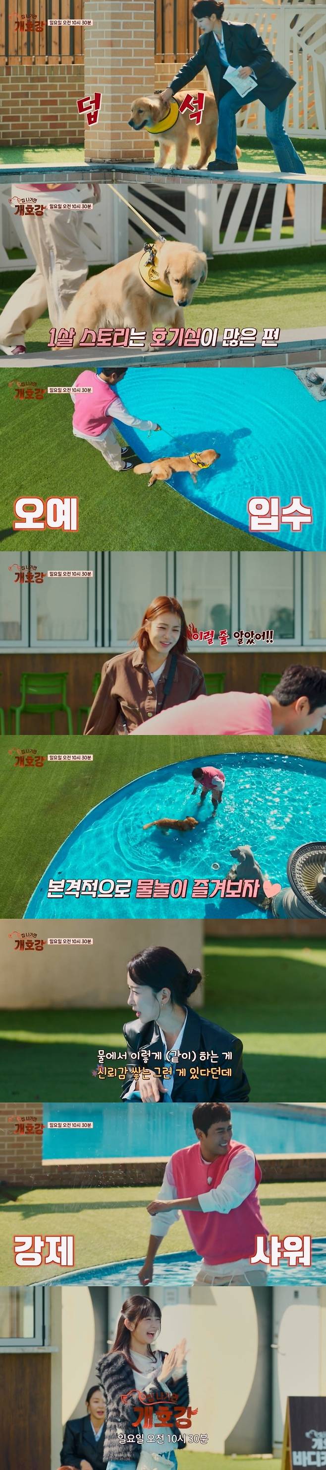 사진 제공 = JTBC ‘집 나가면 개호강’