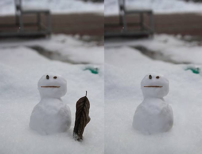 클로바X의 AI 지우개 기능으로 나뭇잎을 지우기 전(왼쪽)과 후.(클로바X 화면 갈무리)