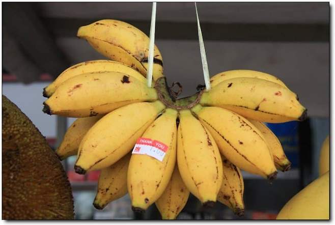 74e4d27fbd8160ff3cef8fe11484276b2781d2c12c209923f62b45de1b2b115a08fa41fed426ea036bbf789bc3b3e8