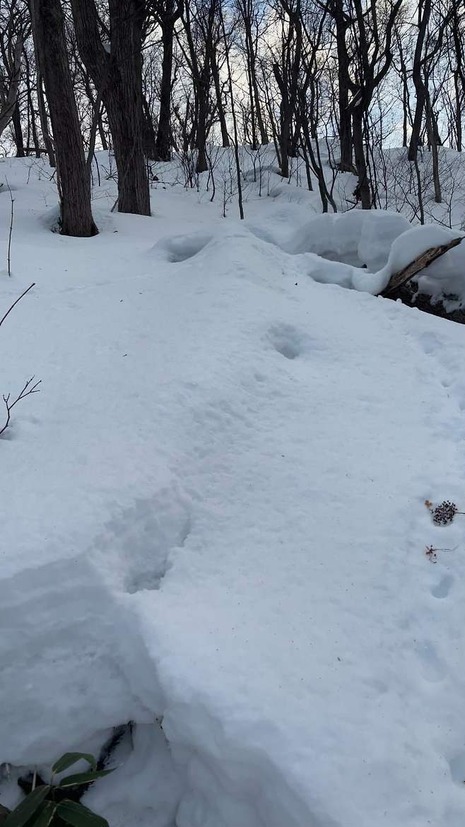 799b8572b48619f2239df2e6379c7065e6536cc63681002f676a7161c3b887964735b54fbd2594adc4a5420a88524060325752a7cc