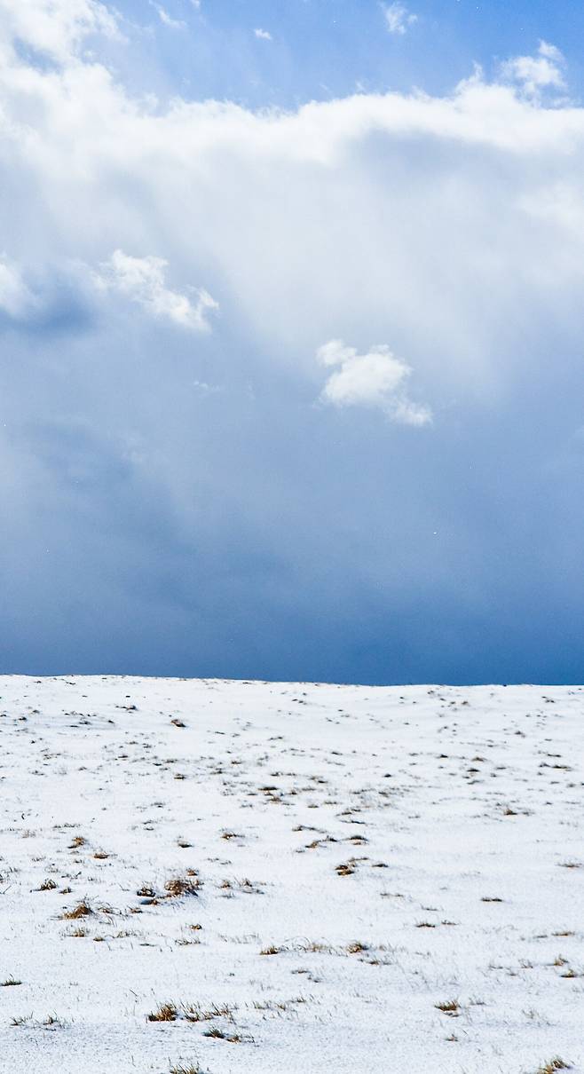 1000032083.jpg [국내여행] 2월 제주