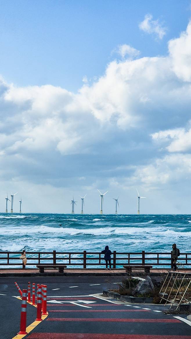 1000031103.jpg [국내여행] 2월 제주