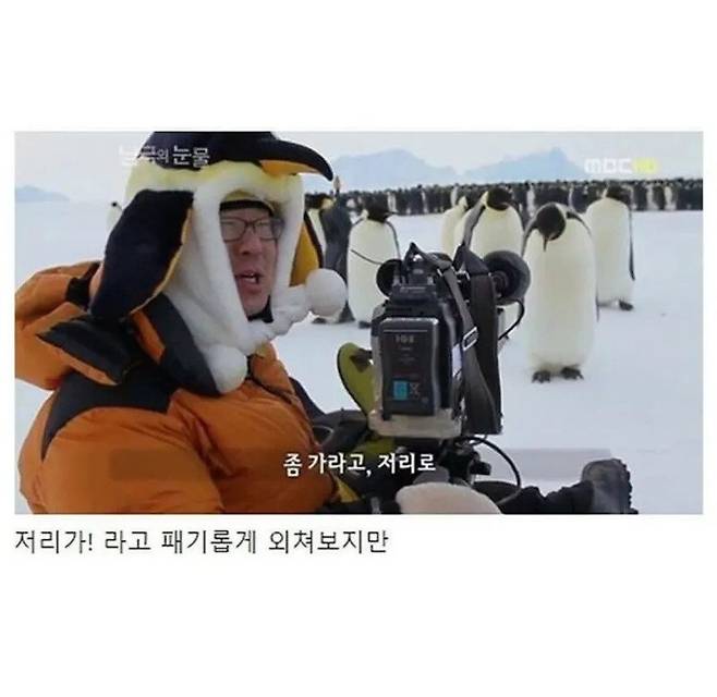2.jpg 남극의 눈물 촬영이 힘들었던 이유.jpg