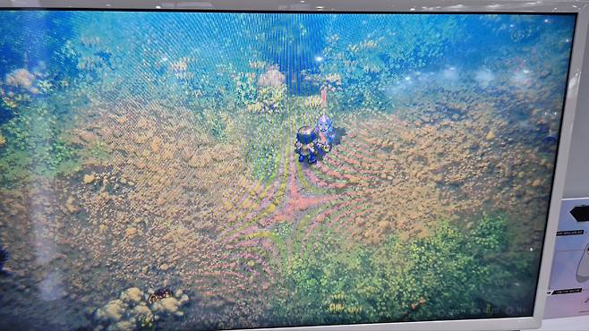 ▲ 이렇게 눈이 마주쳐 버리면 싸움이 시작된다.