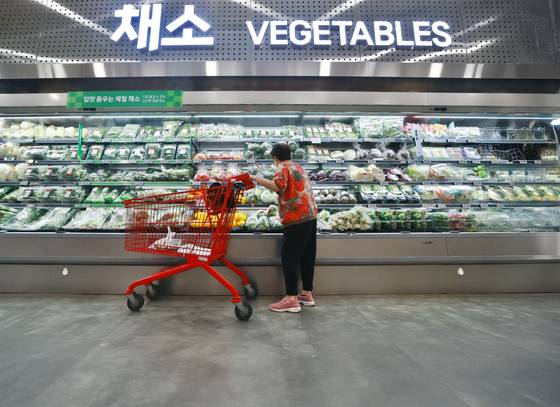 통계와는 달리 물가가 계속 오르면서 살림살이가 팍팍해지고 있다. 사진은 서울의 한 대형마트에서 장을 보는 시민의 모습. [연합뉴스]