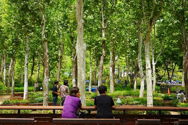 Visitors enjoy a relaxing moment on the bench at Boramae Park in Dongjak-gu, Seoul on Wednesday. (Lee Si-jin/The Korea Herald)
