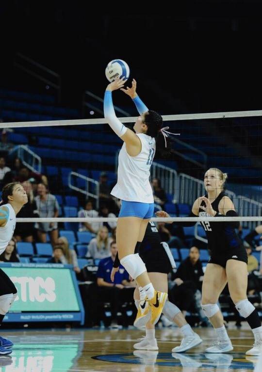 대학 선수 시절 토스하는 오드리 박. 사진[연합뉴스]