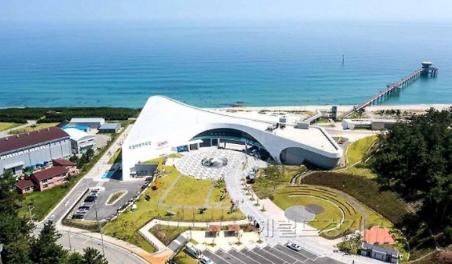 국립해양과학관 전경