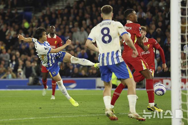 [브라이턴=AP/뉴시스] 브라이턴의 미토마 카오루(왼쪽)가 19일(현지 시간) 영국 브라이턴의 아메리칸 익스프레스 스타디움에서 열린 2024-25 프리미어리그(EPL) 37라운드 리버풀과의 경기 후반 24분 동점 골(10호)을 넣고 있다. 미토마는 이 골로 일본 선수 최초로 EPL 두 자릿수 득점을 달성했고 브라이턴은 이미 우승을 확정한 리버풀에 3-2 역전승을 거뒀다. 2025.05.20.