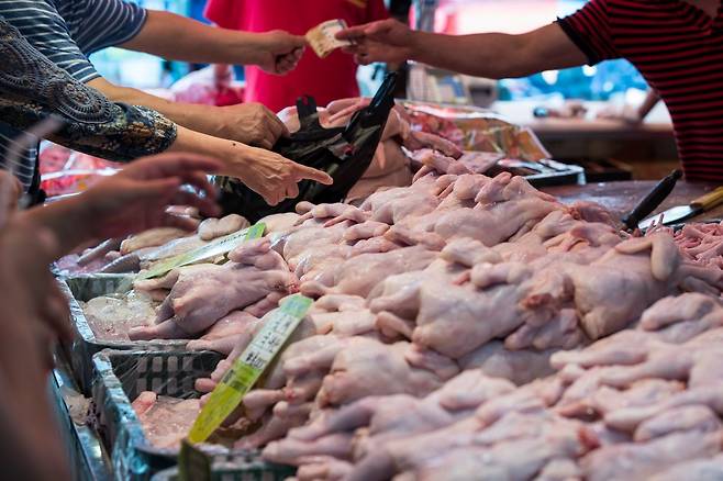 서울 경동시장 내 닭고기 도매상점에 생닭이 진열돼 있다. 2017.9.3/뉴스1 ⓒ News1