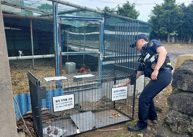 제주자치경찰이 설치한 들개 포획틀